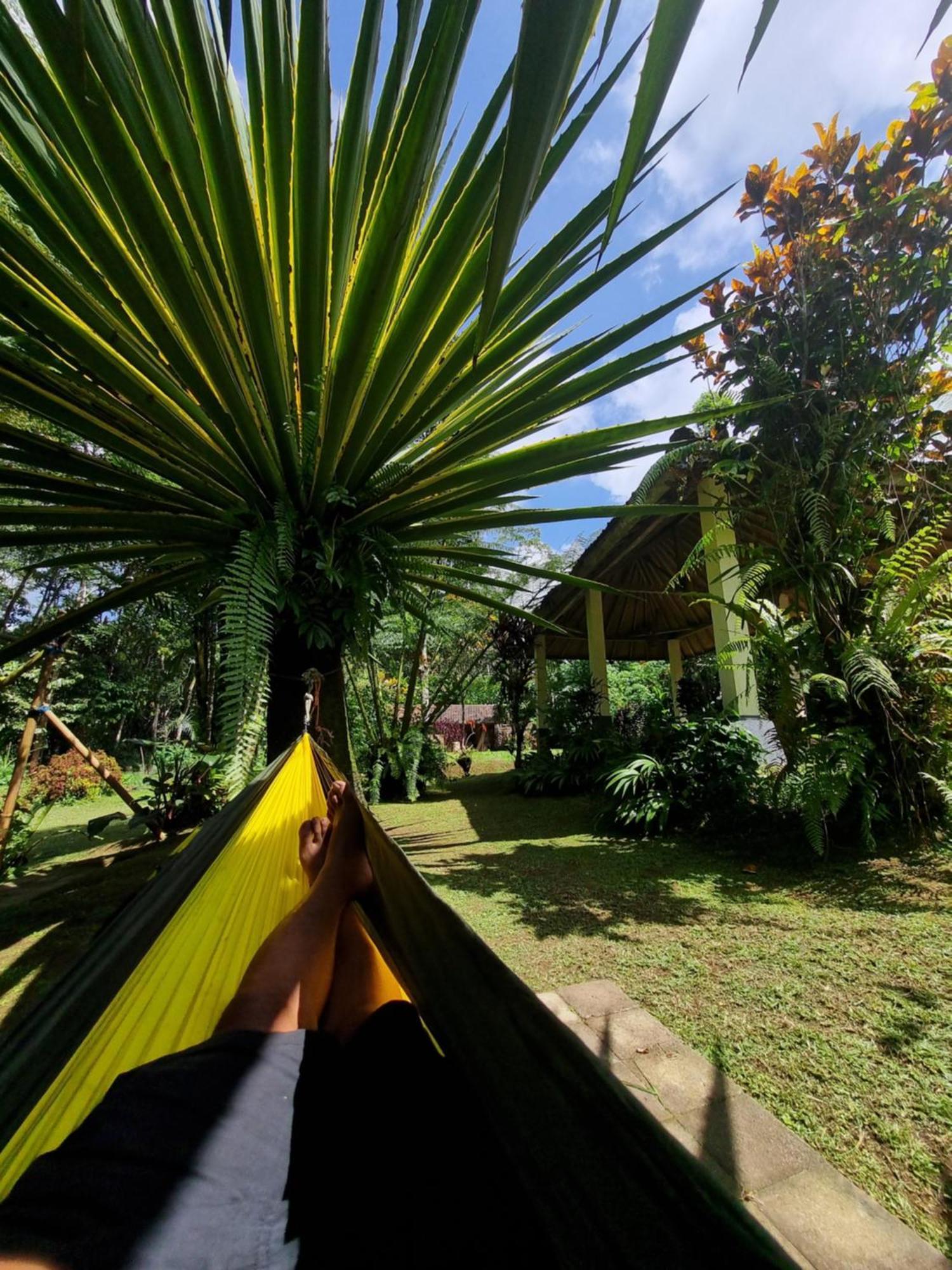 Carik Tangis Boutique Homestay Jatiluwih Exterior photo